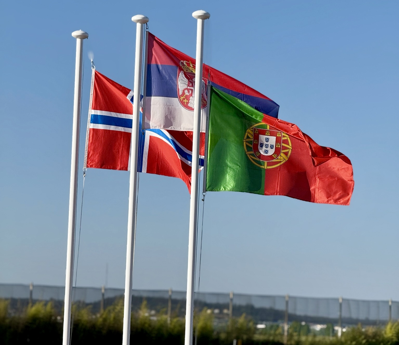 Foto: Kristoffer Mjelstad / NPF