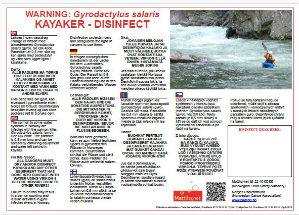 Gyrodactilus salaris