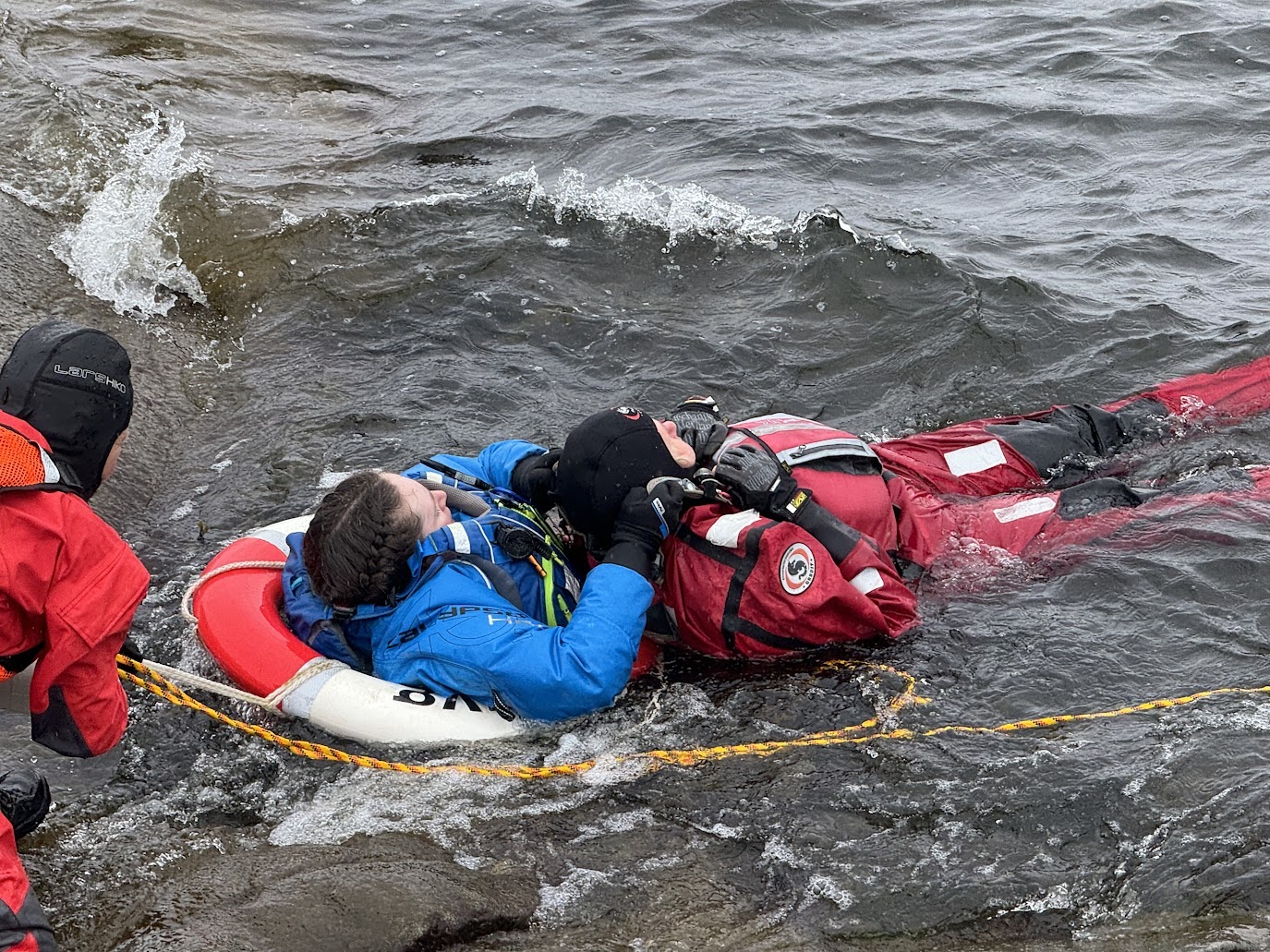 Livredning ute heidi.jpg